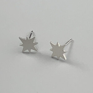 Zodiac silver star earrings